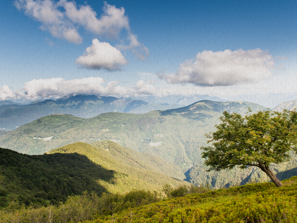 Parco Avventura Monte Tamaro