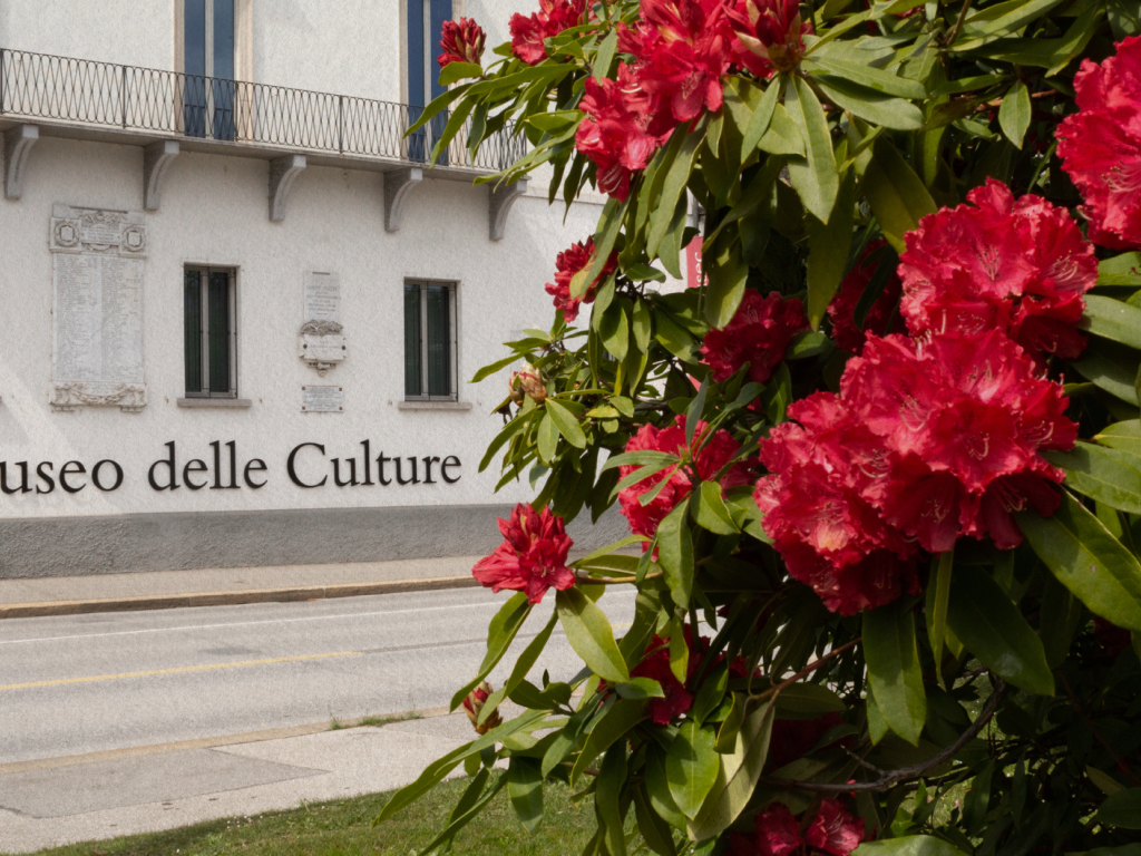 MUSEC Museo delle Culture